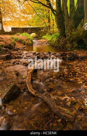 Ein Lastesel Brücke über einen Triburary Fluß Barle im Herbst in der Nähe von Magna in den Exmoor National Park. Somerset. Stockfoto