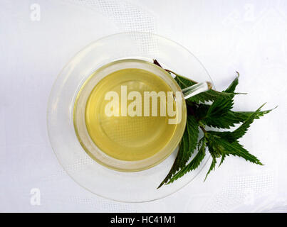 Berlin, Deutschland. 12. Juni 2015. Brennnessel-Tee, fotografiert in Berlin, Deutschland, 12. Juni 2015. -KEIN Draht-SERVICE - Foto: XAMAX/Dpa/Alamy Live News Stockfoto