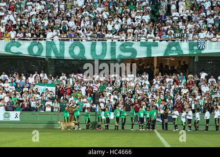 Curitiba, Brasilien. 7. Dezember 2016. Fans machen Hommage an die Opfer der Tragödie unter Einbeziehung der Chapecoense-Delegation im Stadion Couto Pereira in Curitiba am Mittwoch (07). Heute wäre das zweite Spiel der südamerikanischen Pokalfinale zwischen Chapecoense und Atletico Nacional. : Bildnachweis Geraldo Bubniak: Foto: Geraldo Bubniak/ZUMA Draht/Alamy Live-Nachrichten Stockfoto