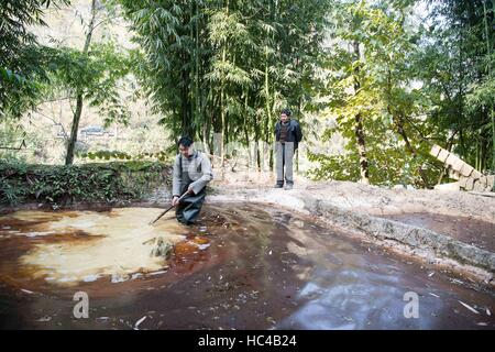 (161208)--CHONGQING, 8. Dezember 2016 (Xinhua)--Li Gaoqiang (L) und sein Vater Li Shilin überprüfen das Eintauchen des Bambus in Kalk-Pool in Xinglong Stadt, Südwest-China Chongqing, 7. Dezember 2016. LIS-Familie, Leben in Xinglong Stadt Chongqing hat das traditionelle Handwerk der Herstellung von "Tuhuo" Papier über fünf Generationen überliefert. "Tuhuo" Papier, Bambus wächst in lokalen Bereichen erfordert hohen Standard der Techniken durch alle Verarbeitungsstufen. Jedoch ist mit hoher Arbeitsintensität, schlechten Verkaufszahlen und niedrigen Renditen, das Handwerk nur wenige junge Menschen, erbte die hat die Regierung getrieben. Stockfoto