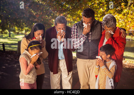 Familie, die Nase im park Stockfoto