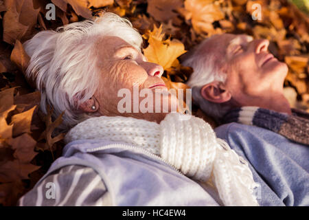 Älteres Ehepaar schlief auf Parkbank Stockfoto, Bild ...