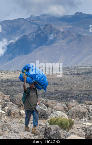 Einzelne Träger mit einer großen Tasche auf dem Kopf, Machame Route, Kilimanjaro, Tansania Stockfoto