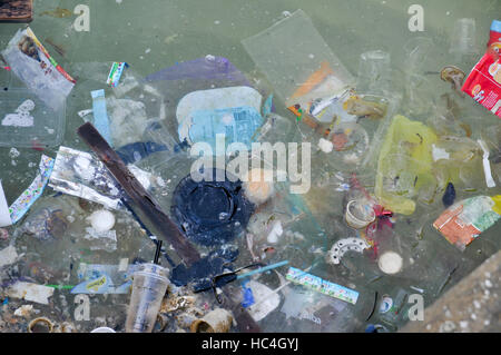 Verunreinigtes Schmutzwasser - Öl, Haushalt Schutt, Treibholz und Kunststoff mit Füßen treten in einer verschmutzten Gewässer. Fotografiert an der Tel Aviv Port, Israel Stockfoto