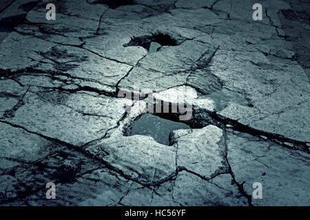 Dinosaurier-Fußabdruck auf Stein, ausgestorbene Tiere Stockfoto