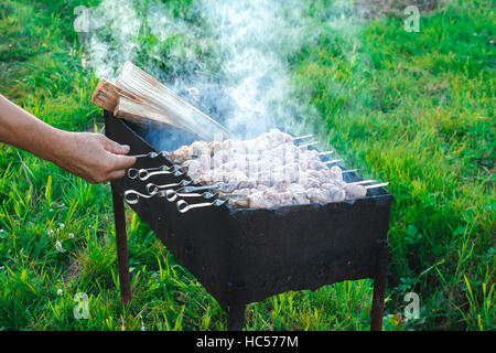 Schaschlik gebraten auf Kohlen auf dem Hof am Sommertag Stockfoto
