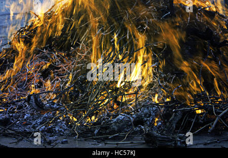 Holzfeuer brennende Glut im Grill Feier Stockfoto