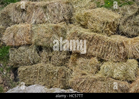 Nahaufnahme von vielen gerollten Heuballen trocken im Dorf Stockfoto