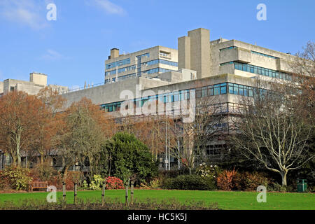 Cardiff University Biosciences Gebäude gesehen von Alexandra Gardens auf Herbstsonne Cardiff, Wales UK KATHY DEWITT Stockfoto