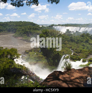 Iguazu: Regenwald und Panoramablick auf die Iguazu Wasserfälle, die durch den Fluss Iguazu, eine der wichtigsten touristischen Attraktionen von Lateinamerika Stockfoto