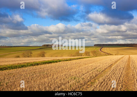 Muster und Texturen der Wolken über golden Stoppelfeldern in der malerischen Landschaft der Yorkshire Wolds im Herbst. Stockfoto