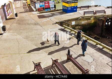 Drei Hundebesitzer in Bridlington Stockfoto