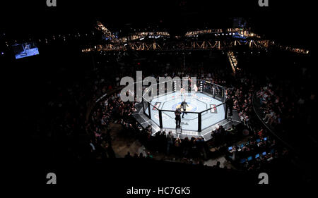 Michael Bisping kämpft Jason Miller in The Ultimate Fighter-14-Finale im Palms in Las Vegas, Nevada auf Samstag, 3. Dezember 2011. Foto von Francis Specker Stockfoto