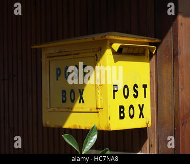 Griechischen Briefkasten montiert an Wand Roxanne es Restaurant, Roda, Korfu, Griechenland Stockfoto