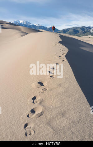 Saguache County, Colorado: Mann, hohe Düne am Great Sand Dunes National Park and Preserve entlanggeht. Stockfoto
