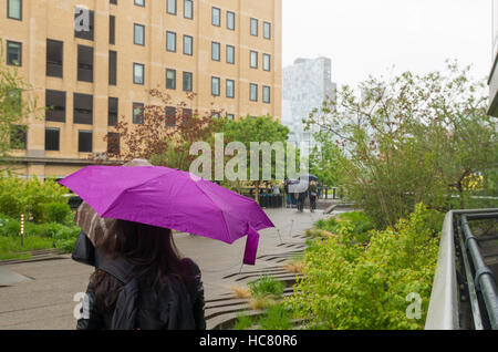 Unbekannte Frau bergende für den Regen unter ein lila Regenschirm in der High Line Park in New York City Stockfoto