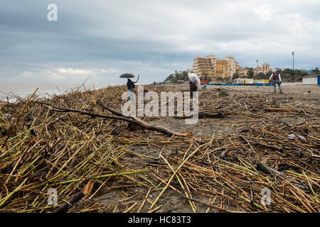 Fuengirola, Malaga, Spanien. 4. Dezember 2016. Der Strand ist voller Schutt. Die schwersten Regen in den letzten 25 Jahren Stockfoto