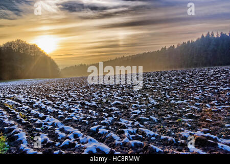 Schneebedecktes Feld in der Nähe der viller Habermannskreuz (Teil) von Michelstadt im Odenwald, Hessen, Deutschland Stockfoto