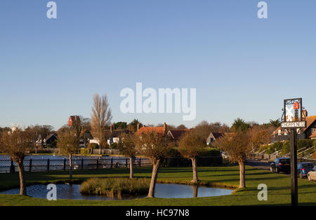 Schwäne und Wildlife schwimmen auf Thorpeness Meare, Thorpeness, Suffolk, England, Vereinigtes Königreich Stockfoto