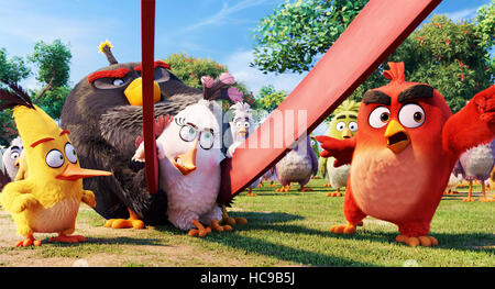 ANGRY BIRDS, (aka THE ANGRY BIRDS MOVIE), foreground from left: Hal (voice:  Anthony Padilla), Bubbles (voice: Ian Hecox Stock Photo - Alamy