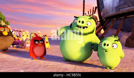 ANGRY BIRDS, (aka THE ANGRY BIRDS MOVIE), foreground from left: Hal (voice:  Anthony Padilla), Bubbles (voice: Ian Hecox Stock Photo - Alamy