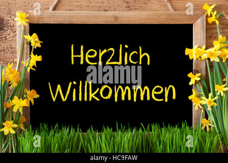 Spring Flower Narzisse, Tafel, Herzlich Willkommen heißt willkommen Stockfoto