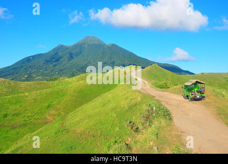 Ein einbunter Jeep auf den sanften Hügeln von Batanes Stockfoto
