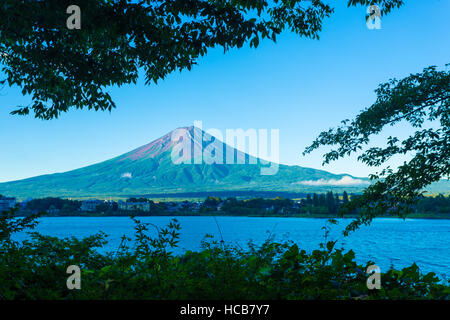 Vordergrund Bäume umrahmen einen schneefreien Schmutz Vulkankegel des Mount Fuji über Kawaguchiko See während der frühen Sommermorgen in Japan Stockfoto