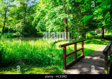 Frühlingsgrün Park. Stadtpark mit grünem Rasen, Brücke, Bäume und Ente Teich.  Frühling Landschaft Hintergrund. Schönheit in der Natur Stockfoto