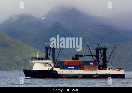 Meer-Händler in Unalaska Bucht, Dutch Harbor, Aleuten, Alaska, USA Stockfoto