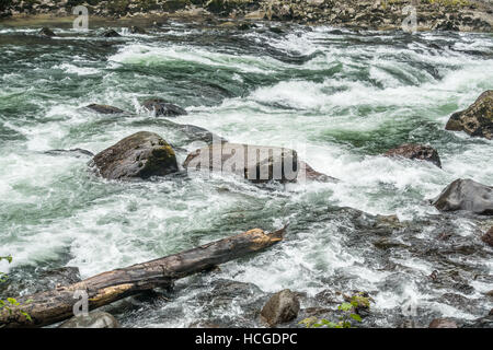 Wildwasser rauscht vorbei an Felsbrocken auf dem Snoqualmie River im US-Bundesstaat Washington. Stockfoto