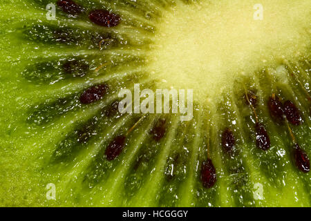 Makro-Studio Schußbild frische Kiwi-Frucht Stockfoto
