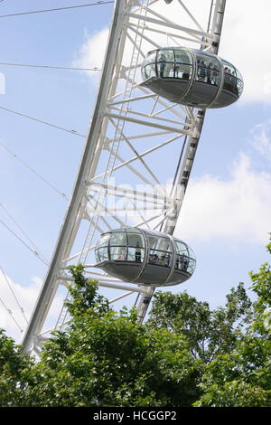 Passagier-Kapseln mit dem London Eye ragen Bäume am Südufer der Themse im Zentrum von London Stockfoto