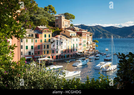 Am frühen Morgen Blick über den Hafen von Portofino, Ligurien, Italien Stockfoto