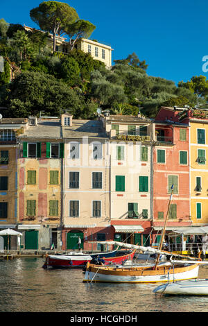 Hafen Sie am frühen Morgen in den winzigen Stadt Portofino, Ligurien, Italien Stockfoto