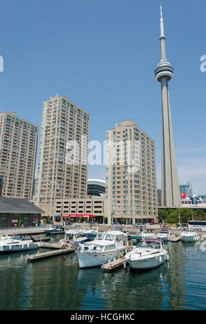 Blick auf Toronto CN Tower Toronto, CN Tower Kanada von Harbourfront, einer beliebten Gegend der Stadt für outdoor-Entertainment. Stockfoto