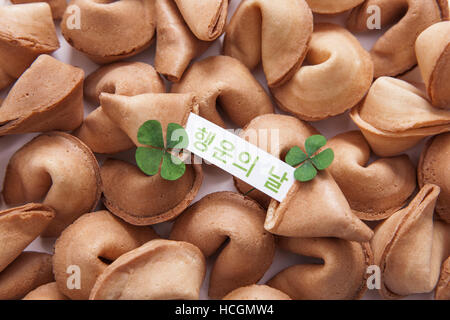 Vierblättrigen Kleeblätter mit Fourtune cookies Stockfoto