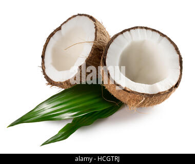 Kokosnüsse mit Blättern auf dem weißen Hintergrund isoliert. Stockfoto