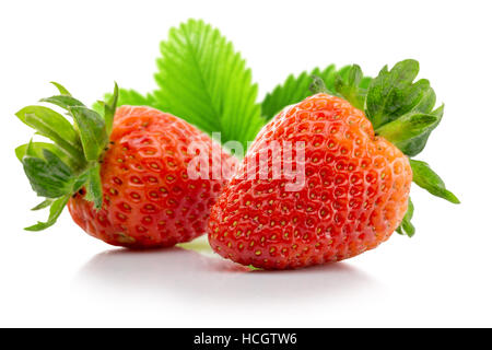 Erdbeeren auf dem weißen Hintergrund isoliert. Stockfoto