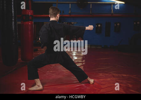 Karate Spieler darstellende Karate Haltung Stockfoto