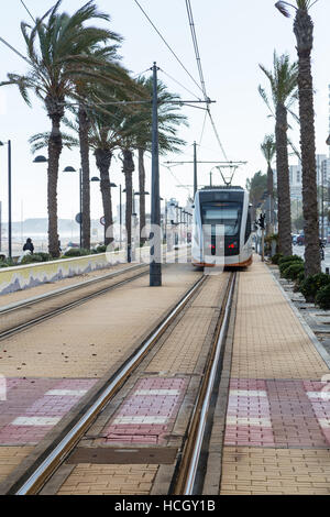 Playa de Muchavista, El Campello, Provinz Alicante, Spanien, Straßenbahn entlang der Strandpromenade an einem windigen Tag Straßenbahn ankommen Stockfoto