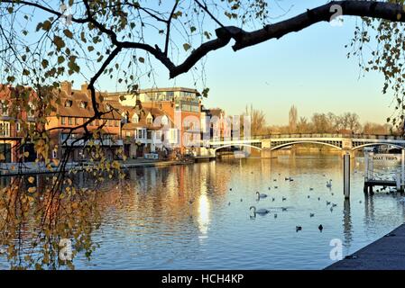 Die Themse bei Windsor Berkshire UK Stockfoto