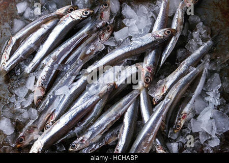 Viele Fische roh frische Sardellen auf zerstoßenem Eis über alten dunklen Metall Hintergrund. Ansicht von oben. Meer Essen Hintergrunddesign. Stockfoto