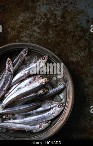 Viele Fische roh frische Sardellen auf zerstoßenem Eis in Vintage Platte über alten dunklen Metall Hintergrund. Ansicht von oben. Meer Essen Hintergrunddesign. Stockfoto