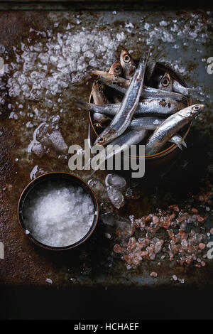 Viele Fische roh frische Sardellen in Blechdose auf zerstoßenem Eis mit rosa und Meersalz über alten dunklen Metall Hintergrund. Ansicht von oben. Meer Essen Hintergrunddesign Stockfoto