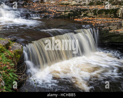 Stainforth Kraft oder Stainforth Foss auf dem Fluss Ribble im Herbst Stainforth Ribblesdale Yorkshire Dales England Stockfoto