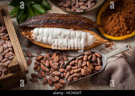 Kakaobohnen und Kakaofrucht mit Kakaopulver auf eine Holzoberfläche. Stockfoto