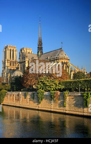 Die Kathedrale Notre Dame auf Île De La Cité, eine der Inseln in Seineufer, Paris, Frankreich. Stockfoto