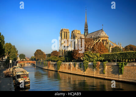 Die Kathedrale Notre Dame auf Île De La Cité, eine der Inseln in Seineufer, Paris, Frankreich. Stockfoto