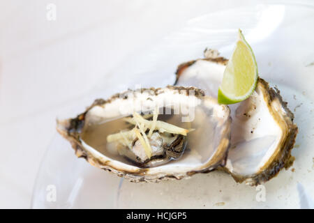 Teils gekocht eröffnet Austern Muscheln auf Glasplatte mit Ingwer und einem Stück Zitrone auf der Seite gedient, Santa Catarina, Brasilien Stockfoto